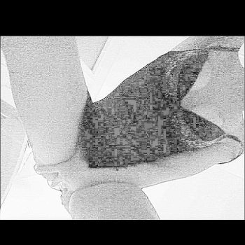 Profil de Birsen, 40 ans, Annonce Gay à Goodsoil