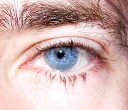 Profil de Petter, 54 ans, Annonce Gay à Stenen