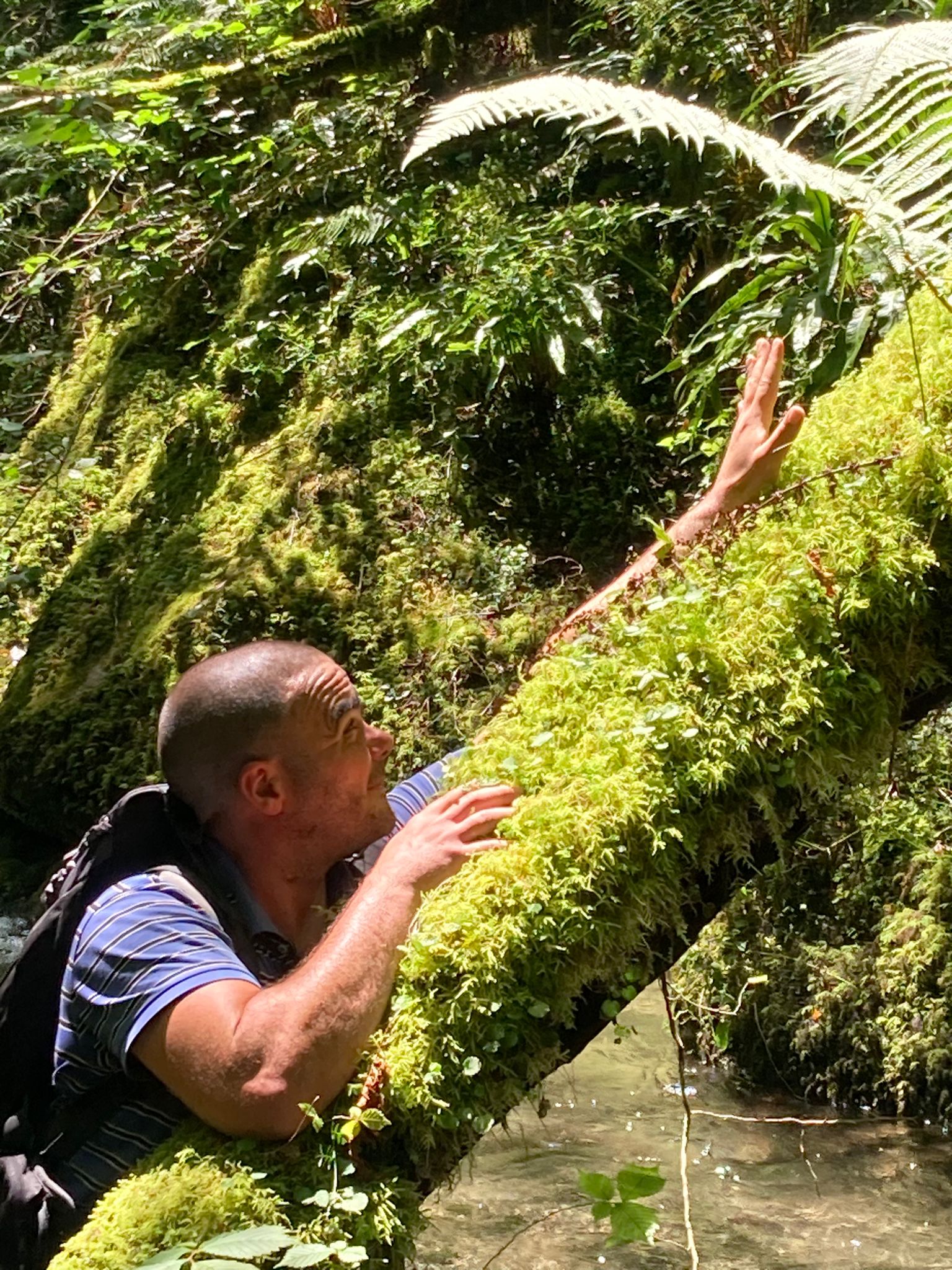 Profil de Viken, 40 ans, Annonce Gay à Clyde