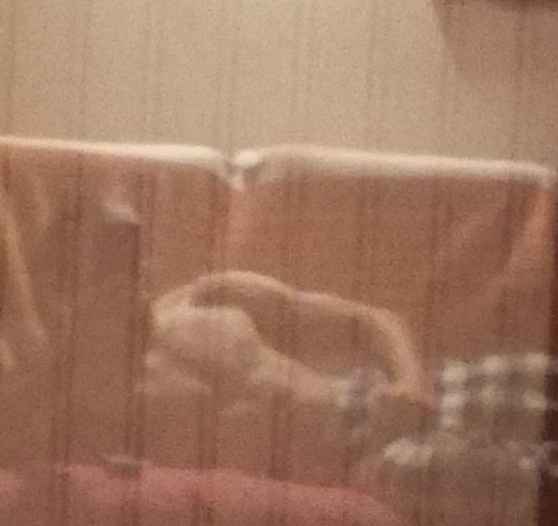 Profil de Jean-edmond, 23 ans, Annonce Gay à La Rédemption