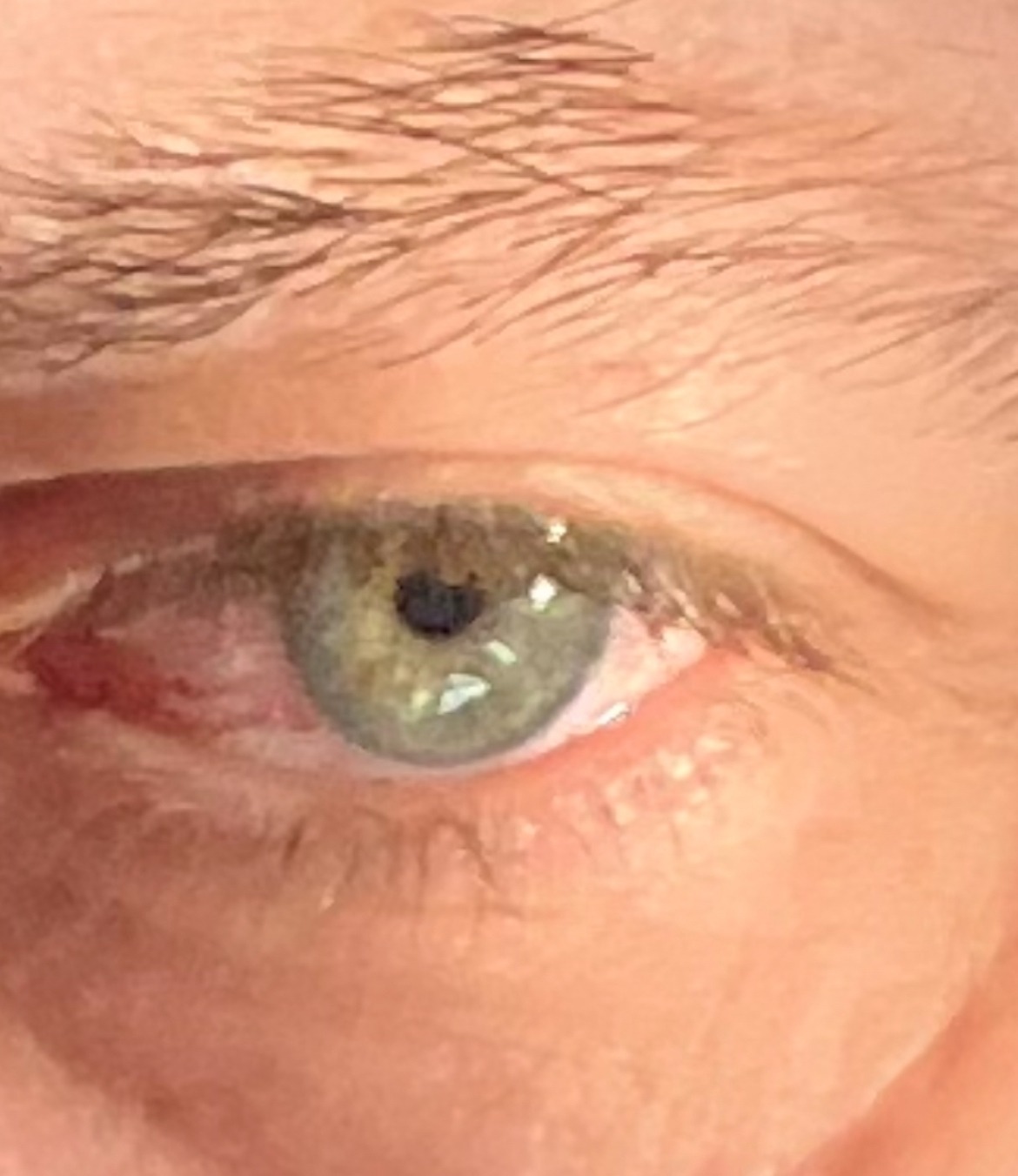 Profil de Ghalem, 49 ans, Annonce Gay à Flaxcombe