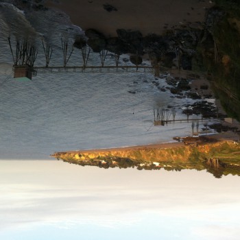 Profil de Mizgin, 37 ans, Annonce Gay à Saint-Charles-de-Bellechasse